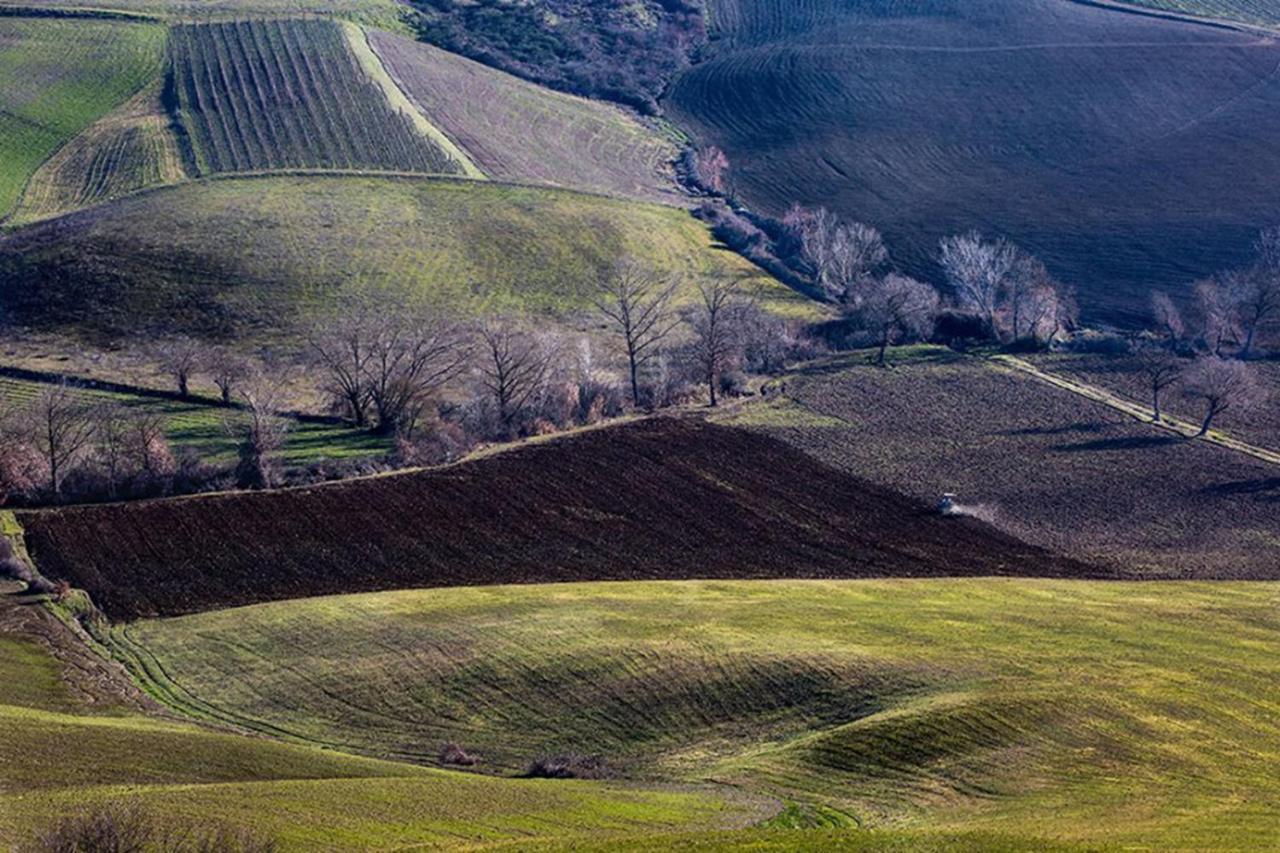 B&B Il Glicine Montefollonico Exteriör bild