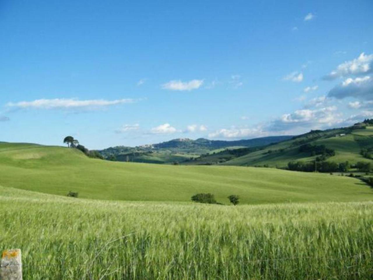 B&B Il Glicine Montefollonico Exteriör bild
