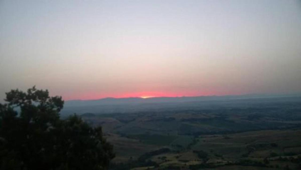 B&B Il Glicine Montefollonico Exteriör bild