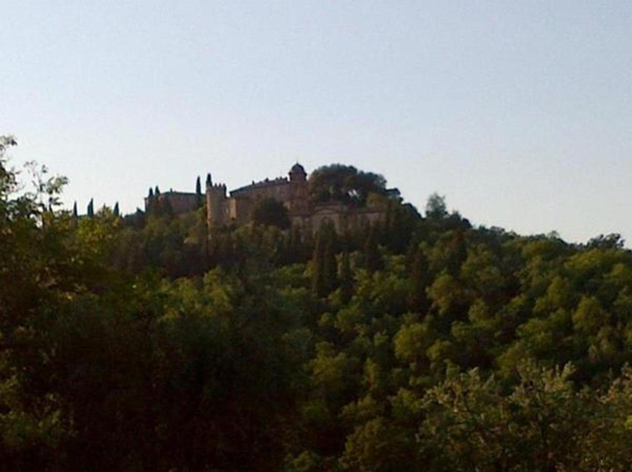 B&B Il Glicine Montefollonico Exteriör bild