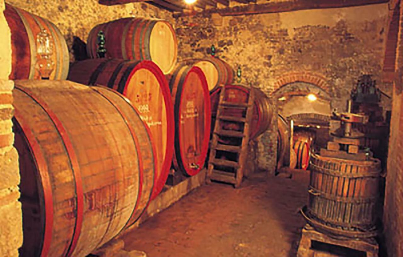 B&B Il Glicine Montefollonico Exteriör bild