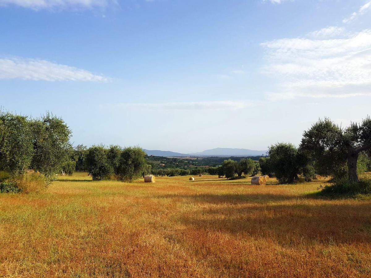B&B Il Glicine Montefollonico Exteriör bild